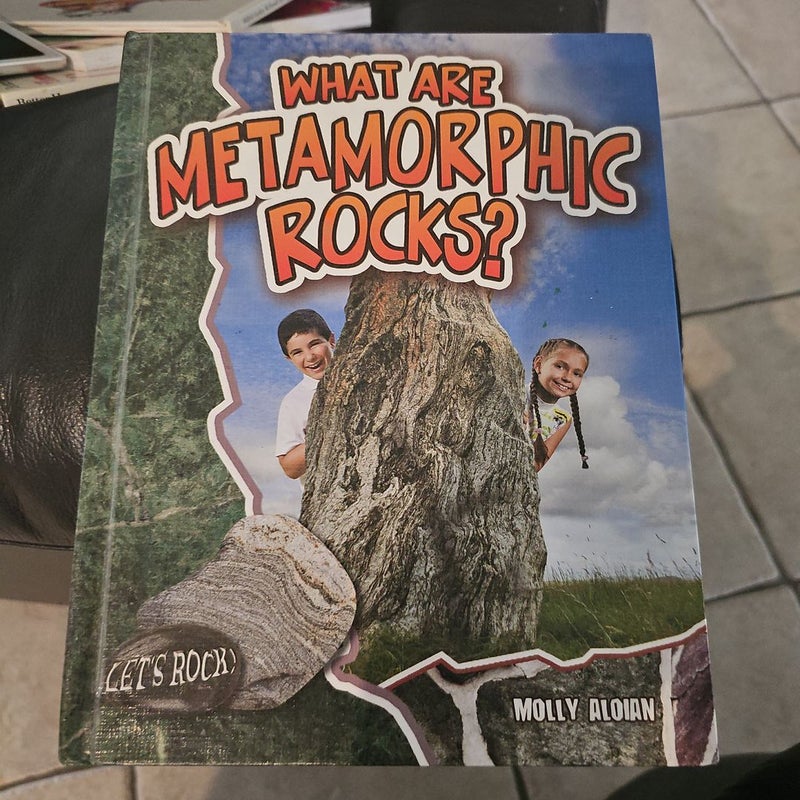 What Are Metamorphic Rocks?