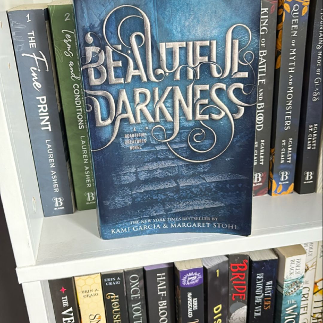 Beautiful Darkness