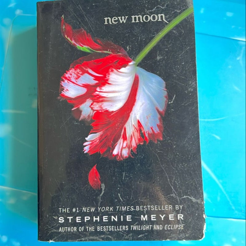 New Moon