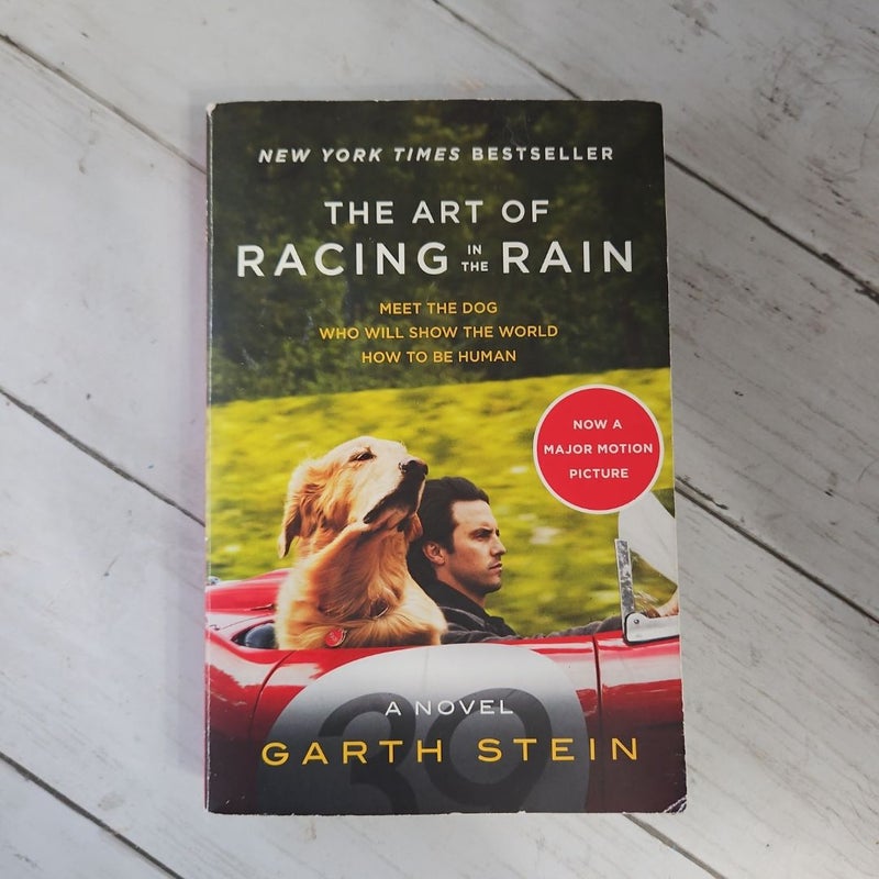 The Art of Racing in the Rain Tie-In