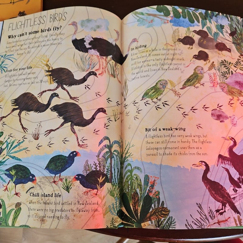 The Big Book of Birds