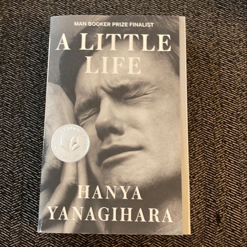 A Little Life