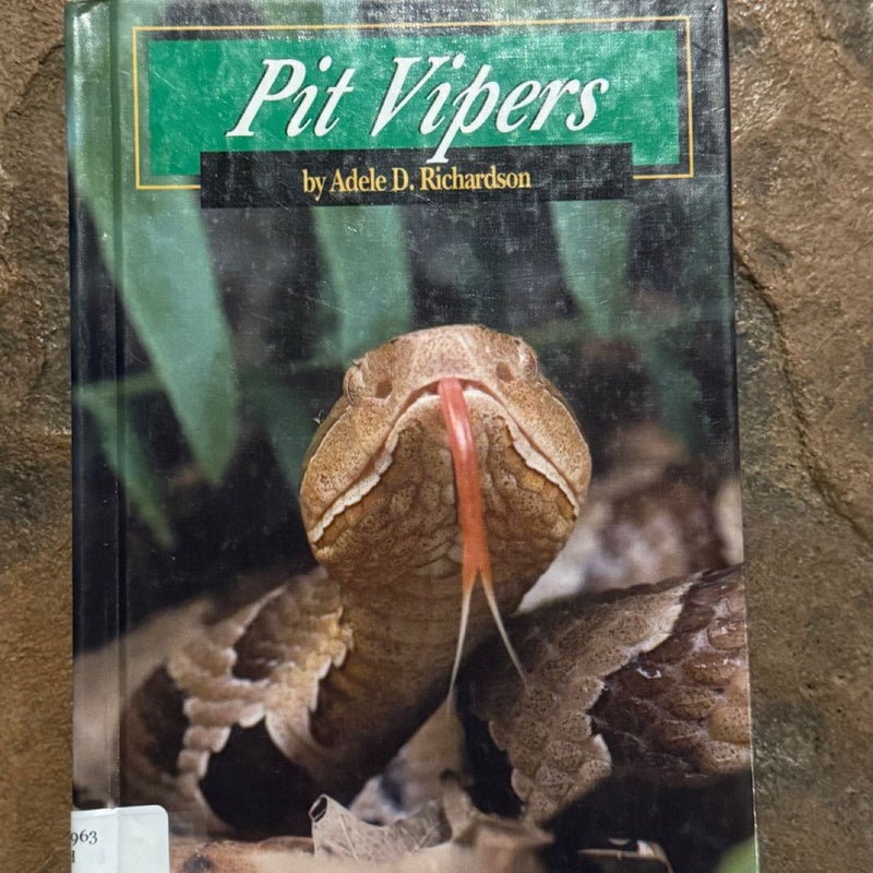 Pit Vipers