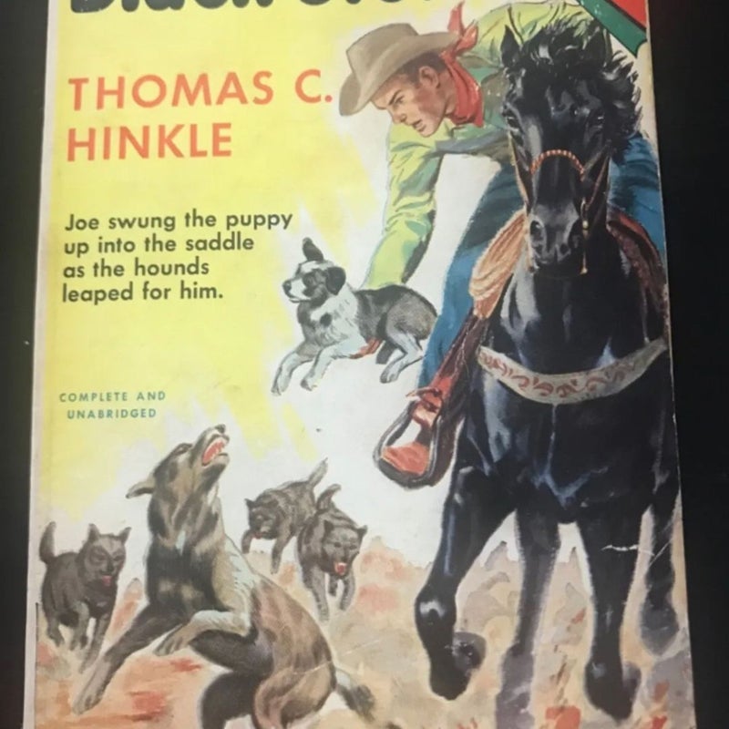 Vintage Paperback Novel 1964 Black Storm By Thomas Hinkle VGC