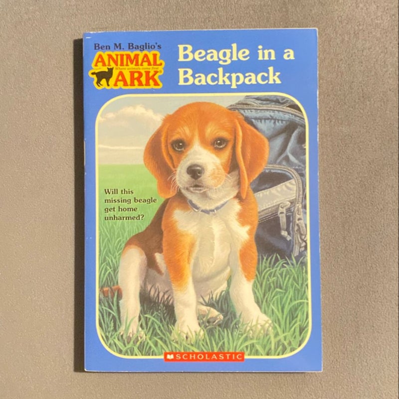 Beagle in a Backpack