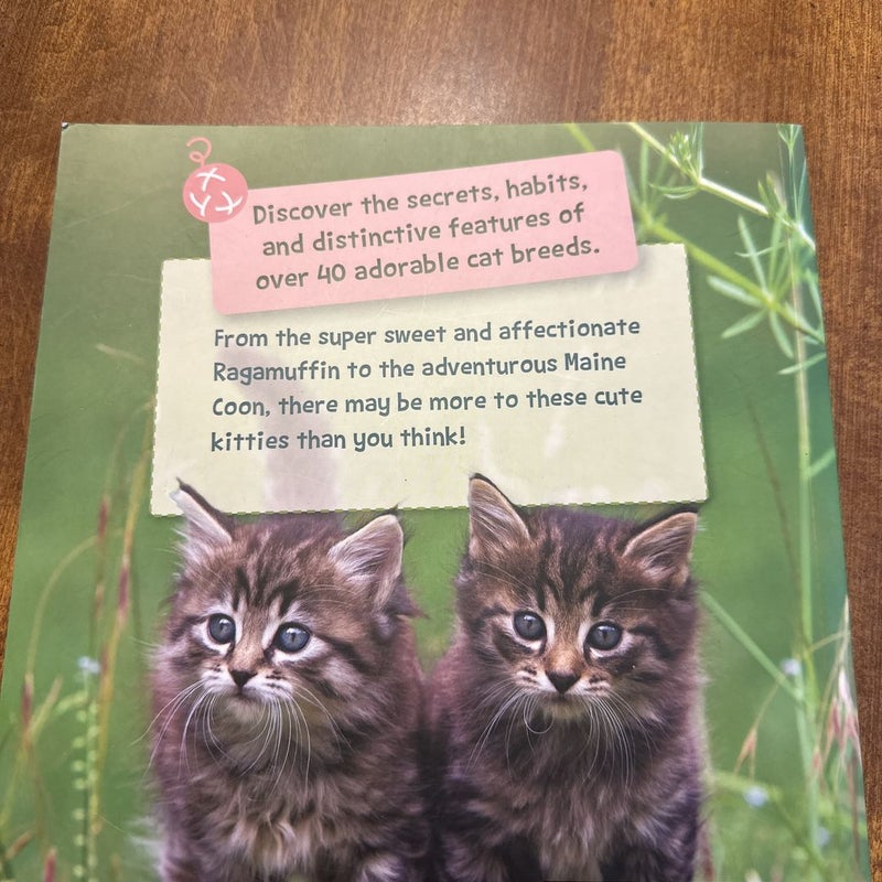 Kitty Secrets
