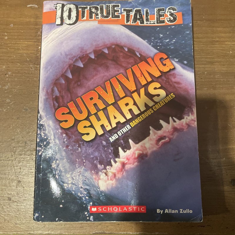 Surviving Sharks (10 True Tales)