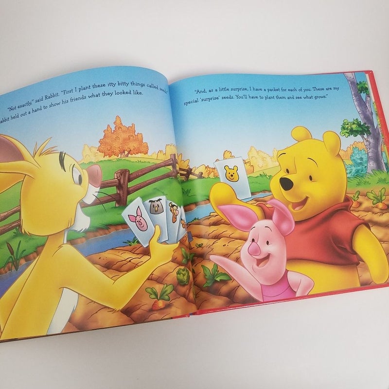 A Surprise Garden (Winnie the Pooh: It's Fun to Learn, book 1)