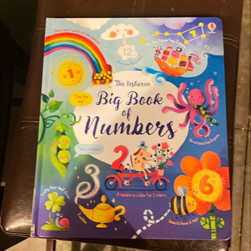 Big Book of Numbers