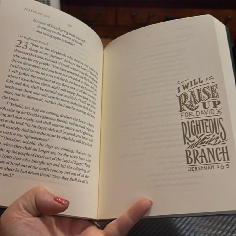 ESV Illuminated Scripture Journal 