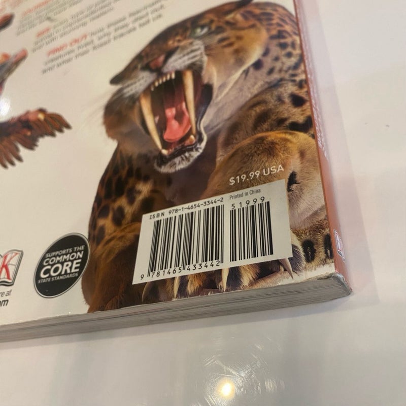 DK Dinosaur Book Bundle for Kids