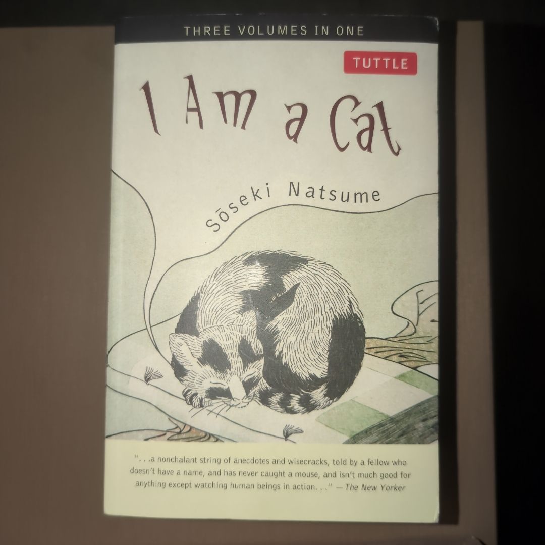 Sale image for df384fe3-5adf-44f6-9885-ae5a82e2836b-AGIq7Ktxl6NL7j3FPrPhihVz4iG3