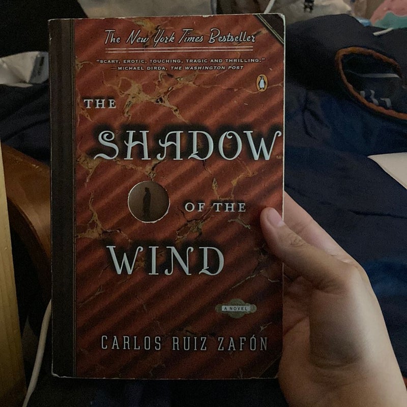 The Shadow of the Wind