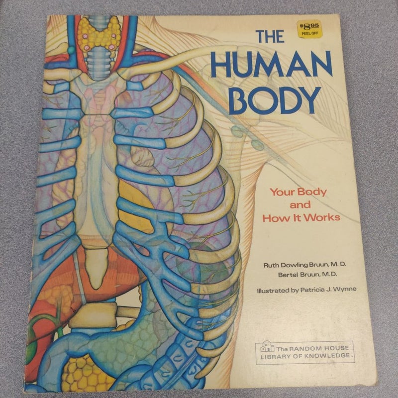 The Human Body