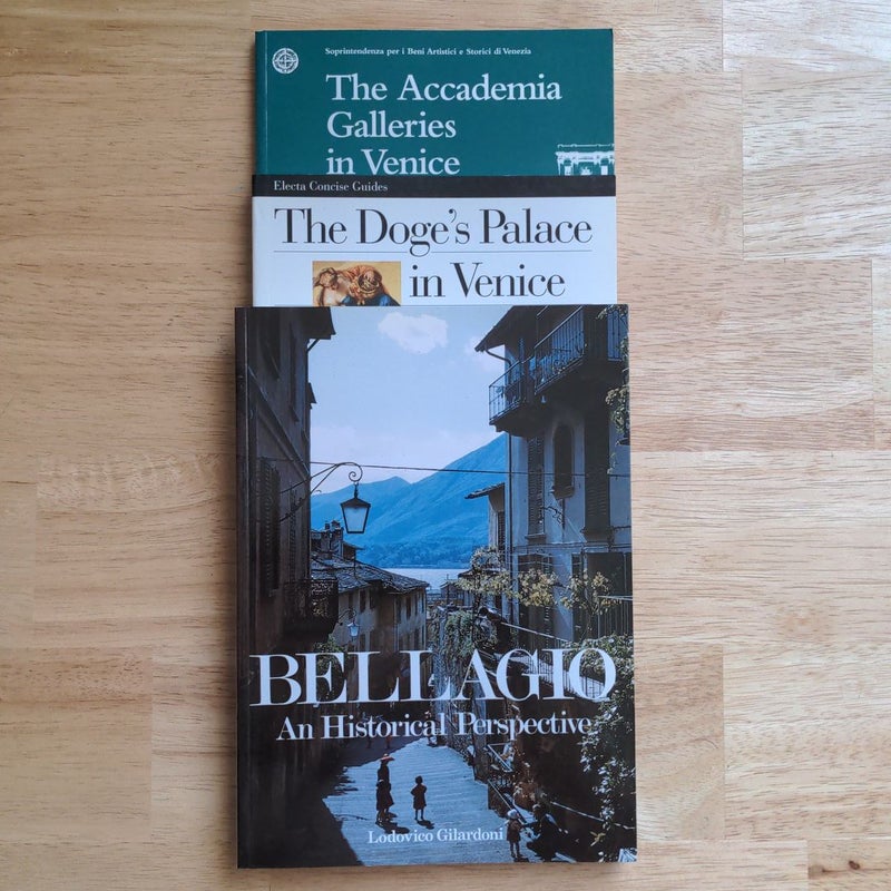 Italy Art & Travel Bundle: Accademia Galleries, Doge's Palace, and Bellagio.