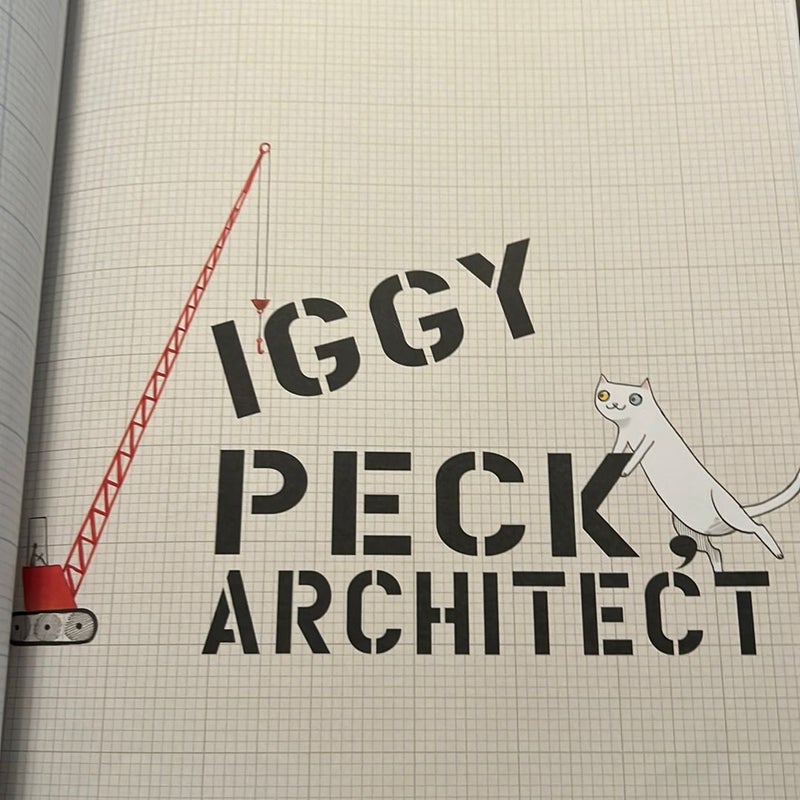 Iggy peck  archtect
