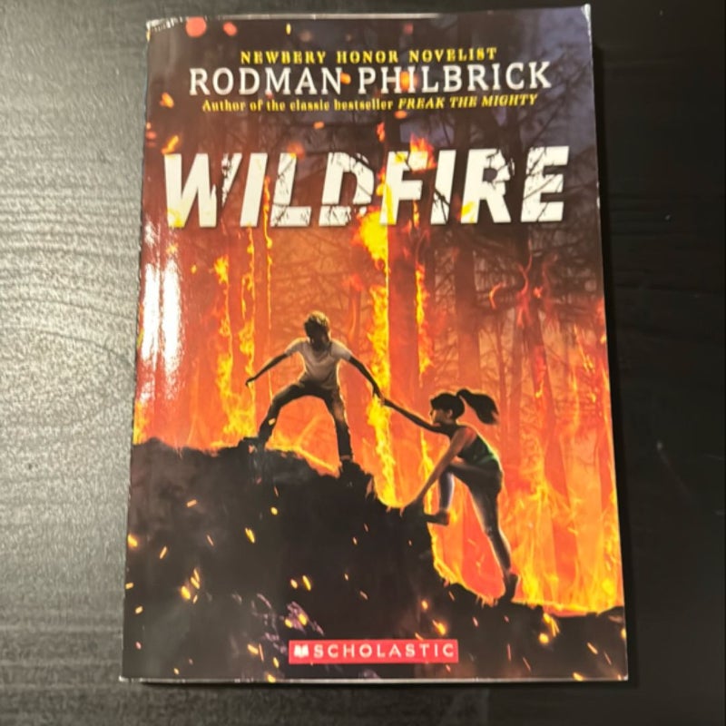 Wildfire