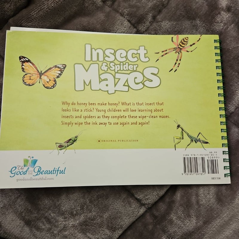 Insect & spider mazes