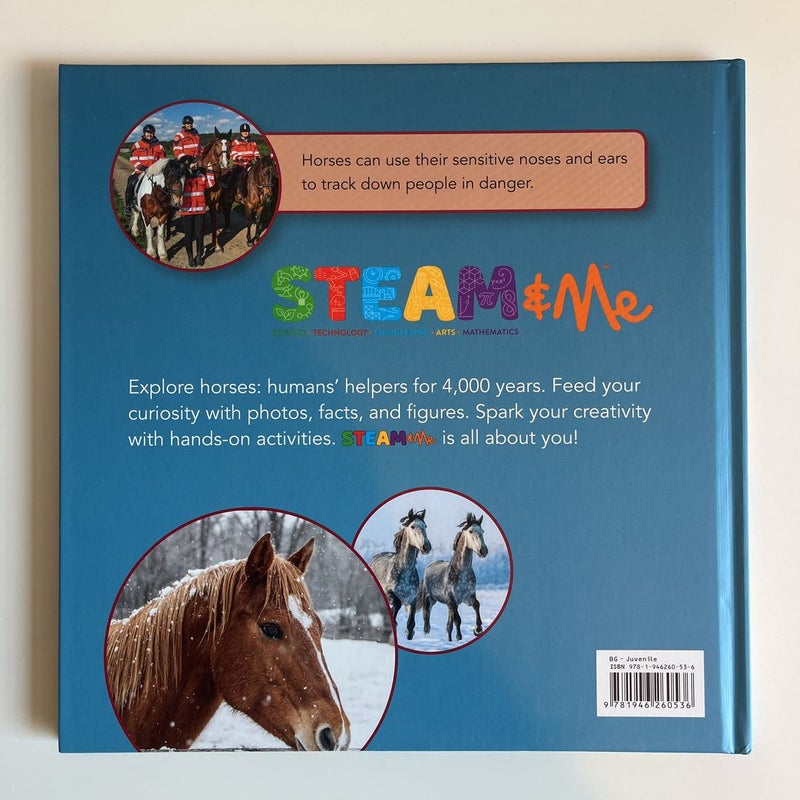 STEAM and Me Horses