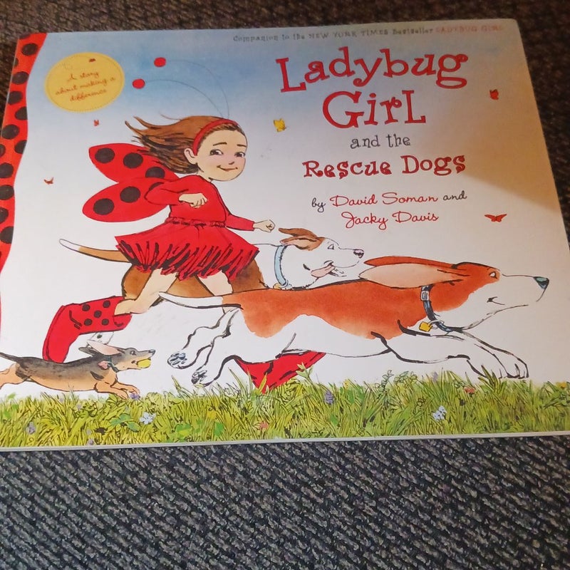 Little Box of Ladybug Girl