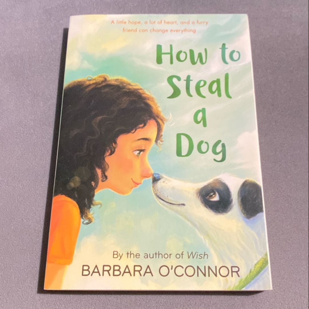 How to Steal a Dog