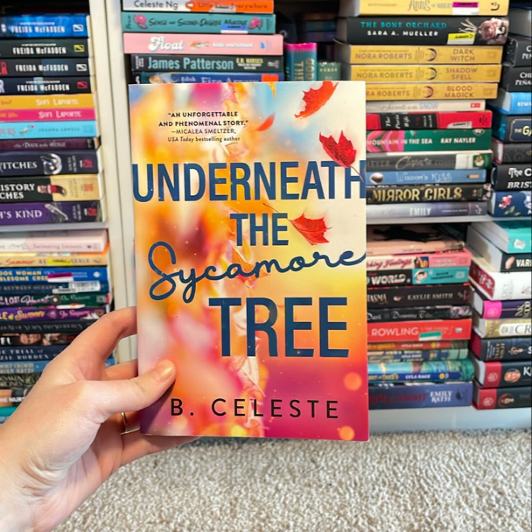 Underneath the Sycamore Tree