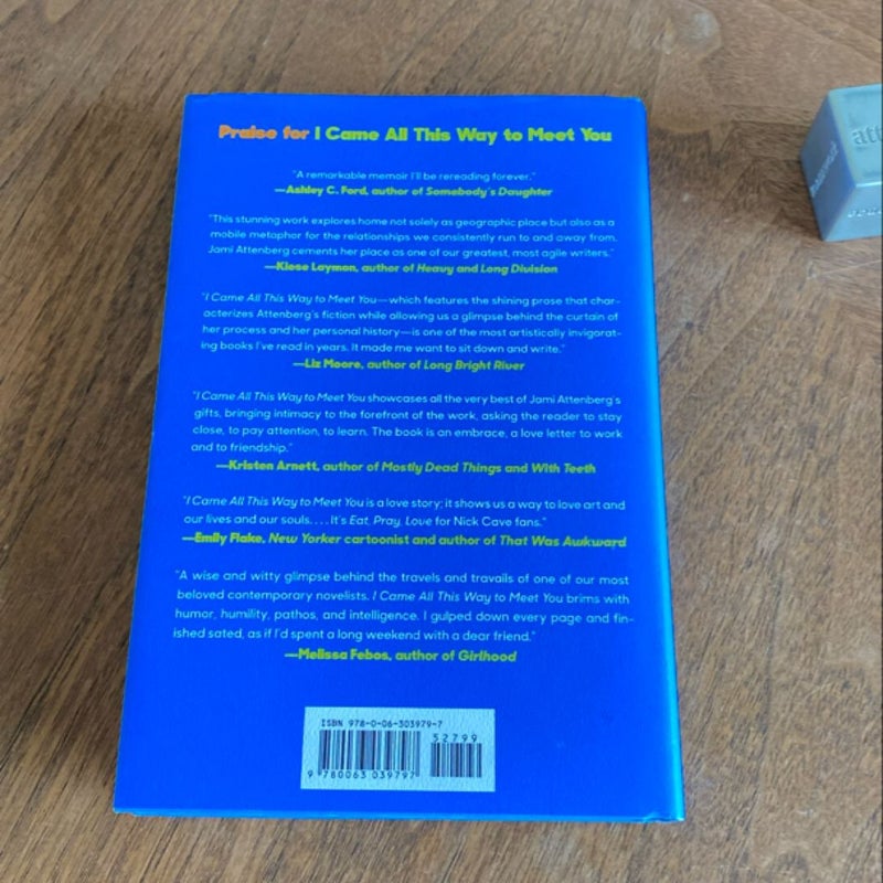 I Came All This Way to Meet You