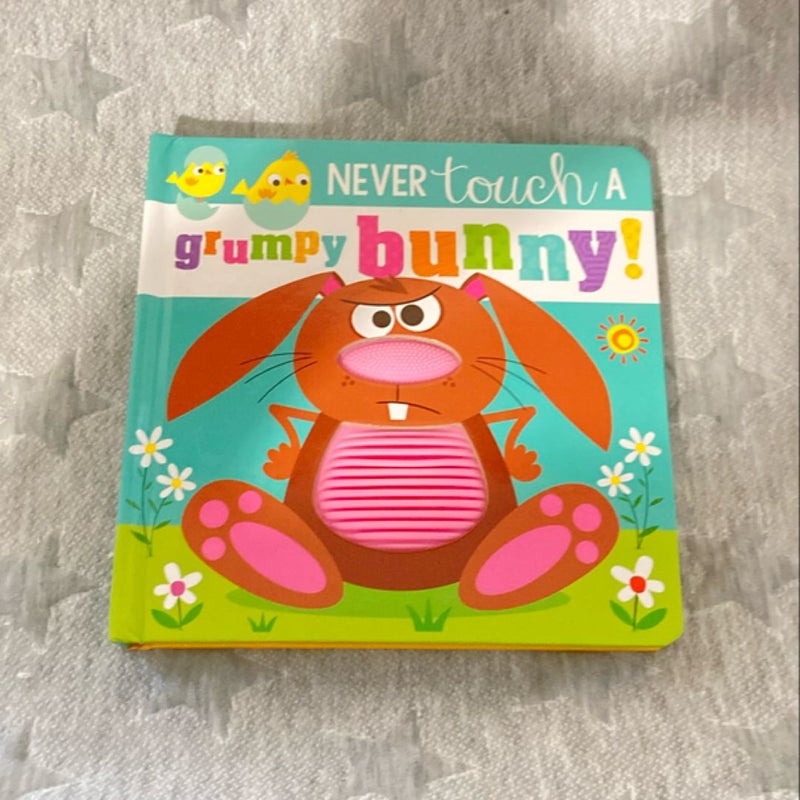 Never Touch a Grumpy Bunny!