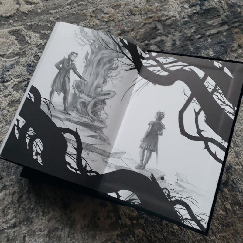 The Cruel Prince: Collector's Edition