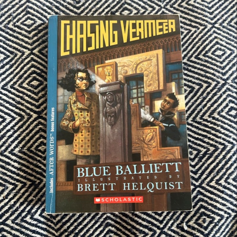 Chasing Vermeer