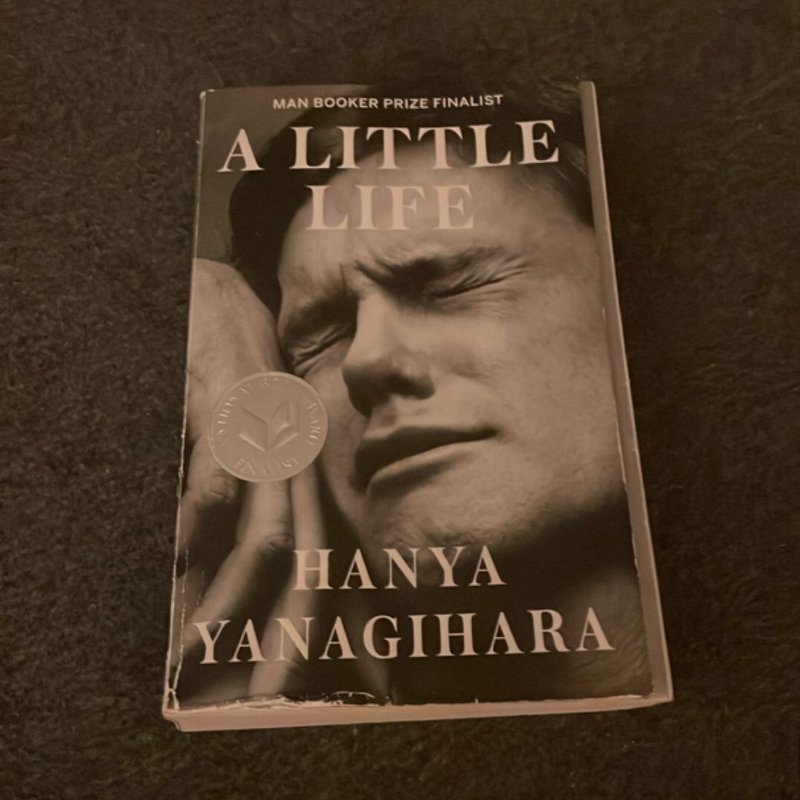 A Little Life