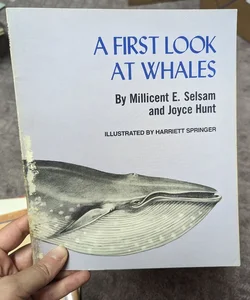 A First Look at Whales