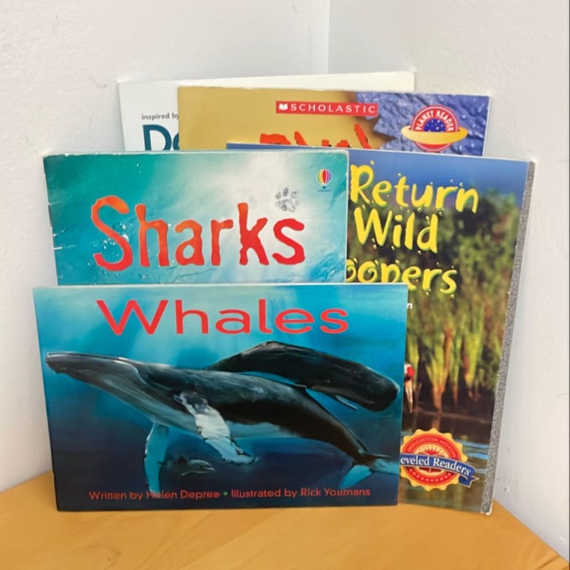 Nonfiction Water Animals Literacy bundle