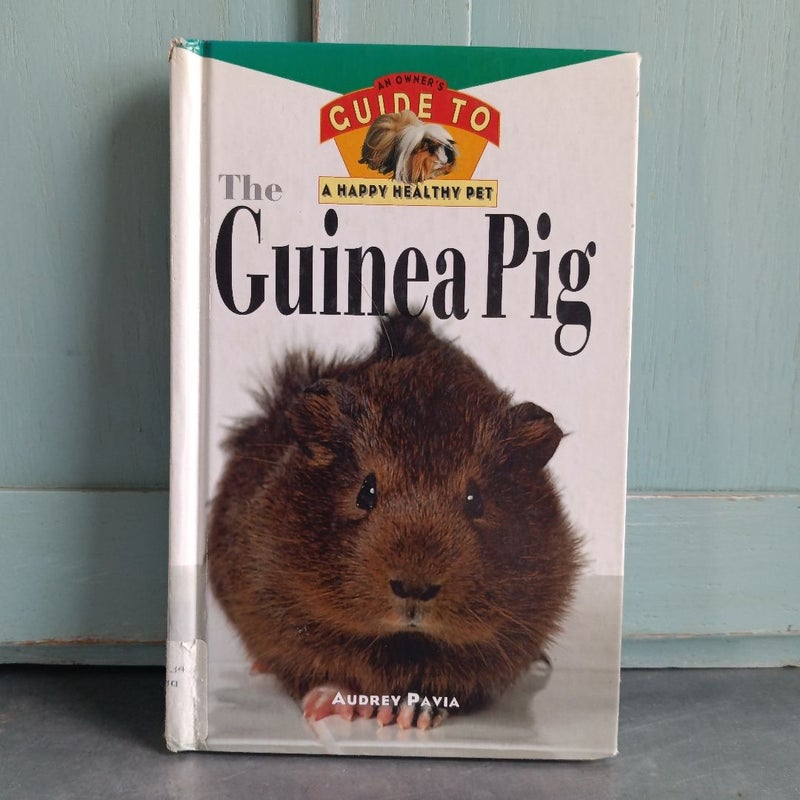 The Guinea Pig