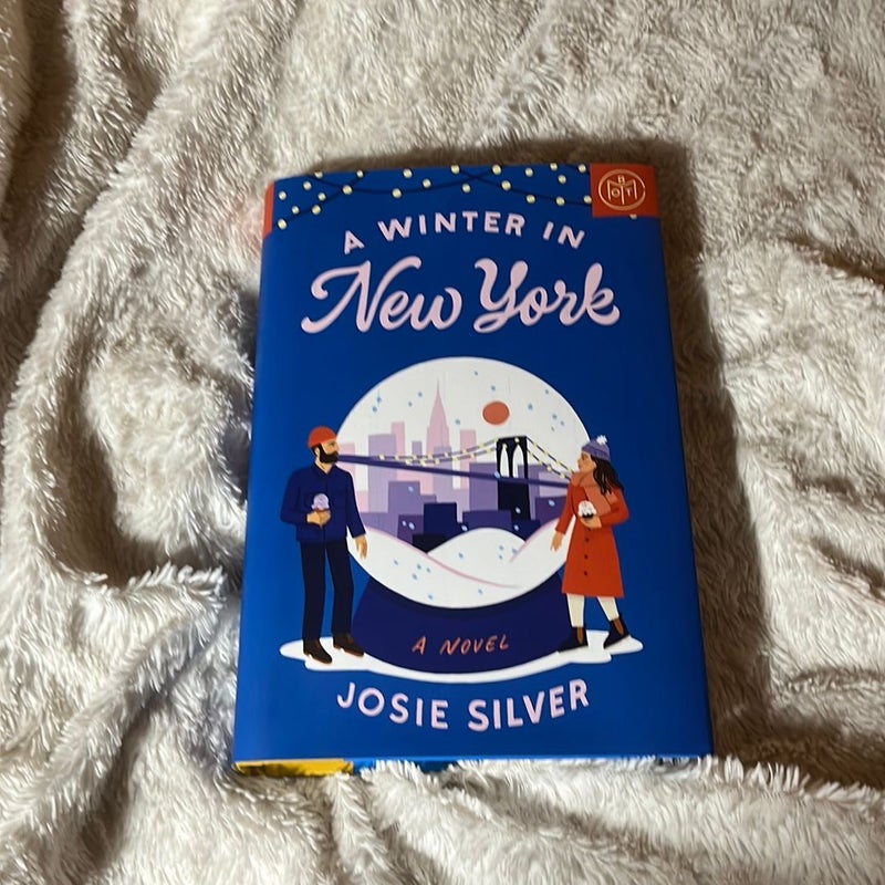 A Winter in New York