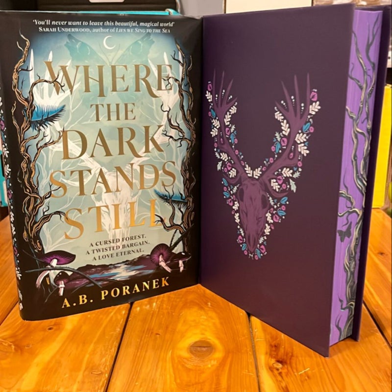 Where the Dark Stands Still Waterstones 