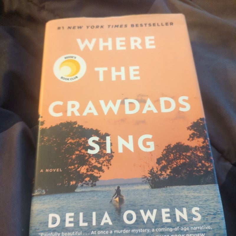 Where the Crawdads Sing