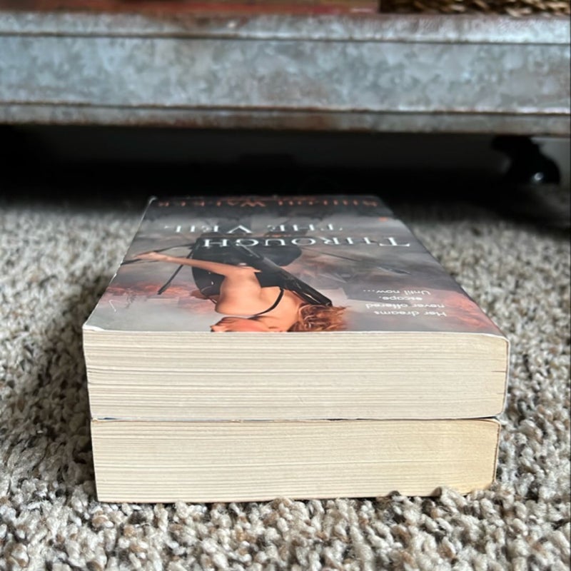 Through the Veil and veil of Shadows complete series