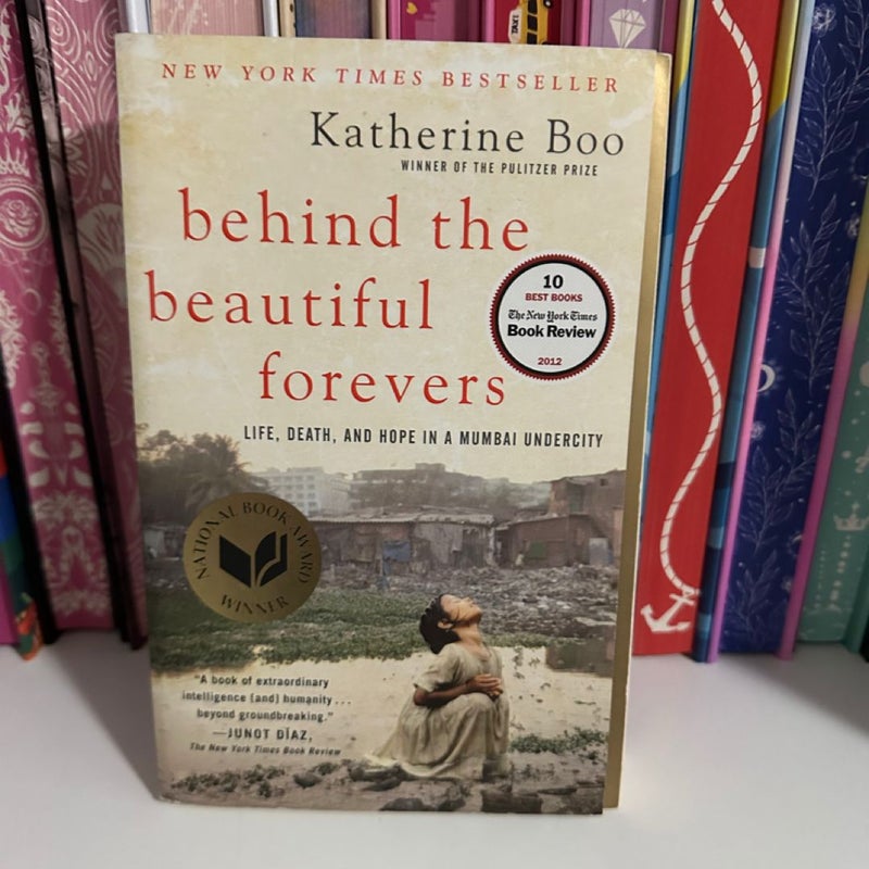 Behind the Beautiful Forevers