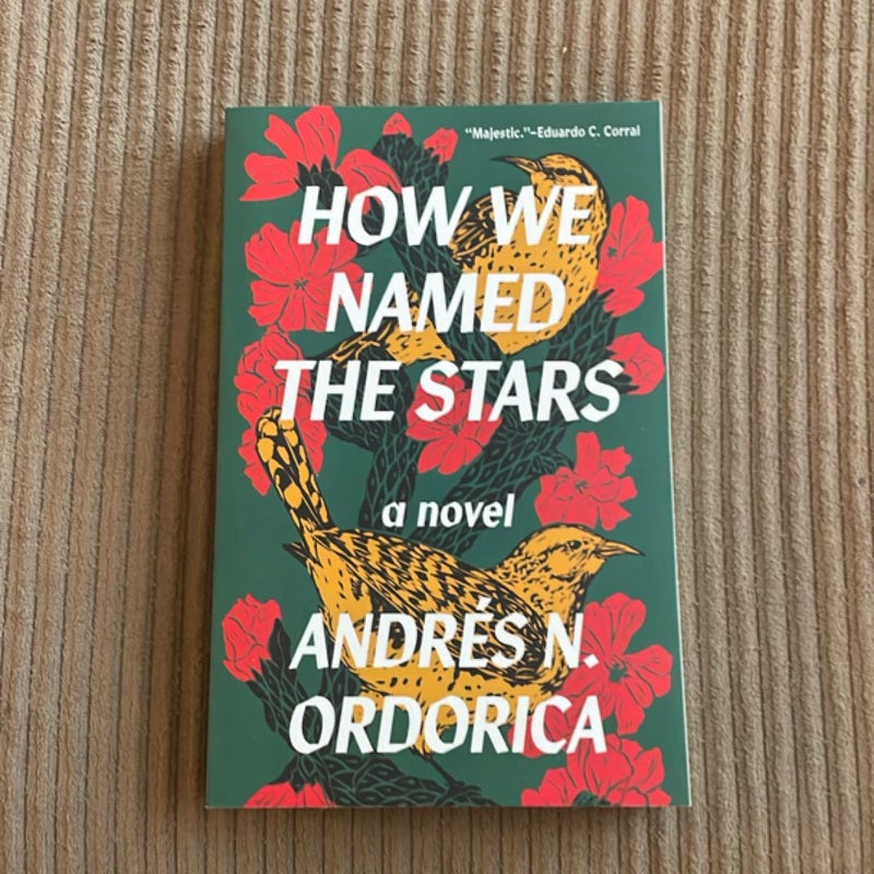 How We Named the Stars