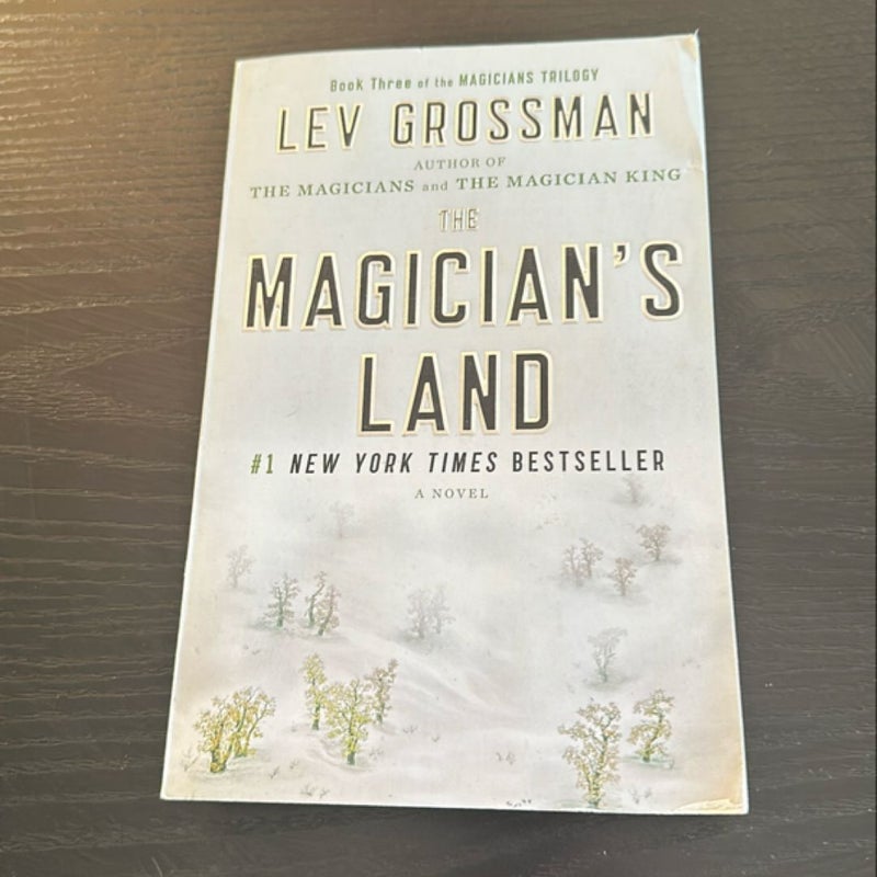 The Magician's Land