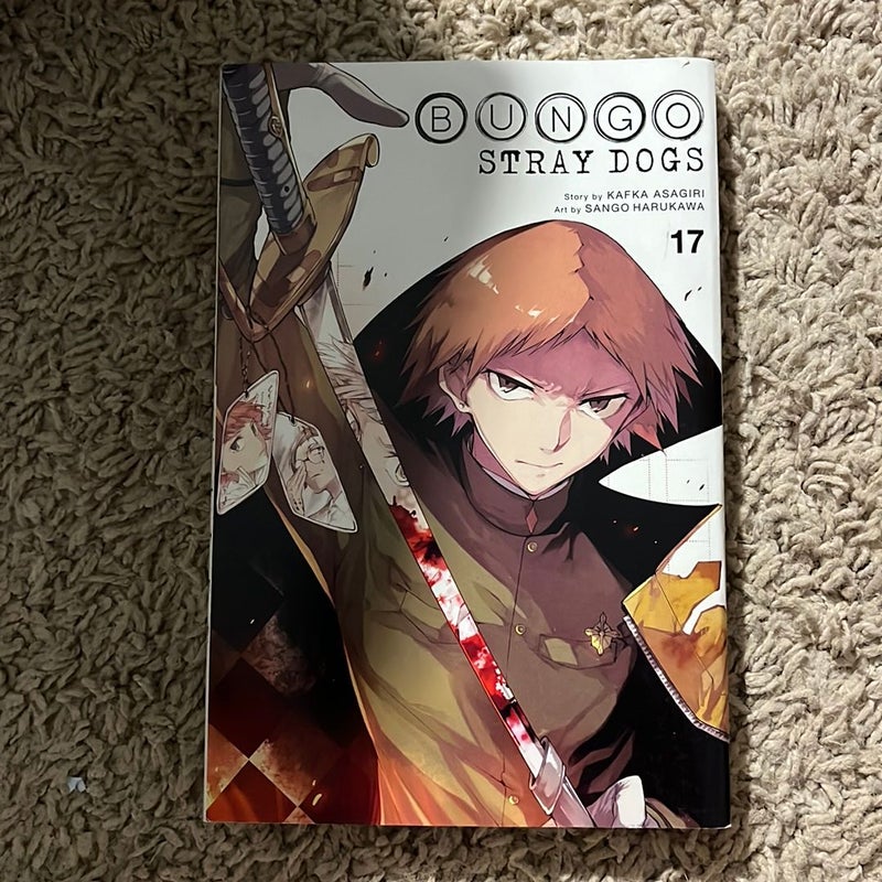 Bungo Stray Dogs, Vol. 17