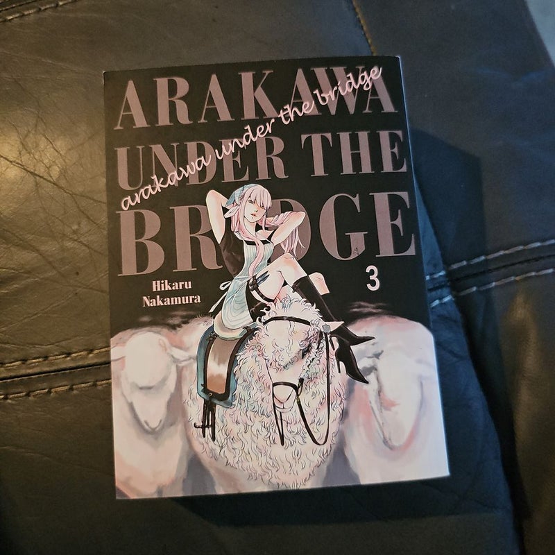 Arakawa under the Bridge 3