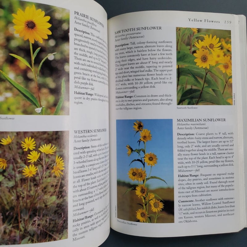 Tallgrass Prairie Wildflowers