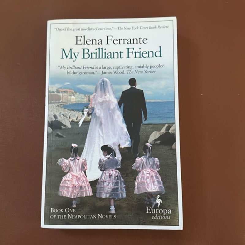 My Brilliant Friend