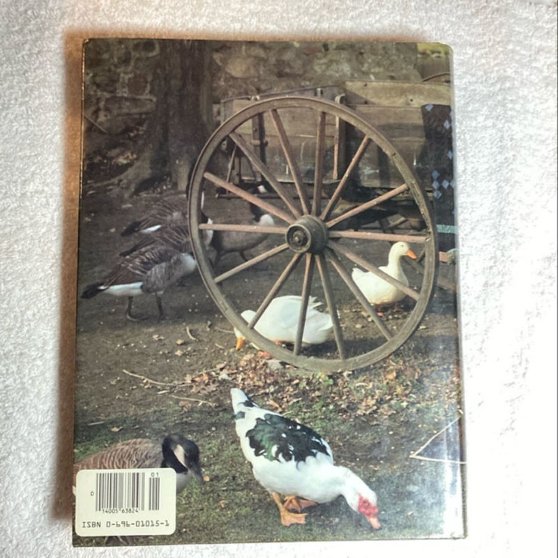 Better Homes and Gardens American Patchwork and Quilting 8C