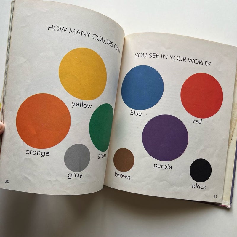 Vintage Book: What Is the Color of the Wide, Wide World