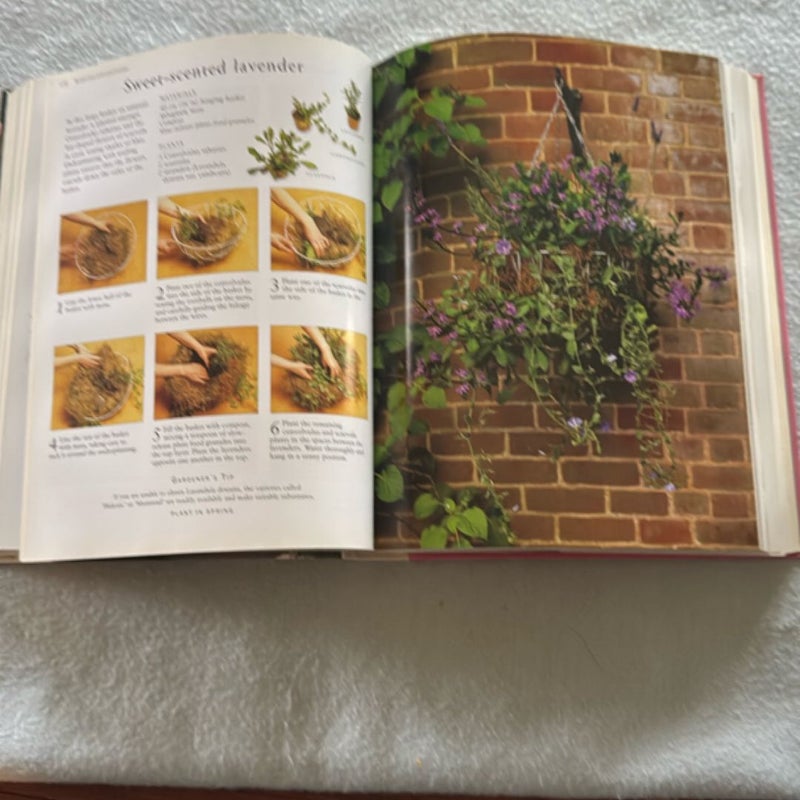 Container Gardening