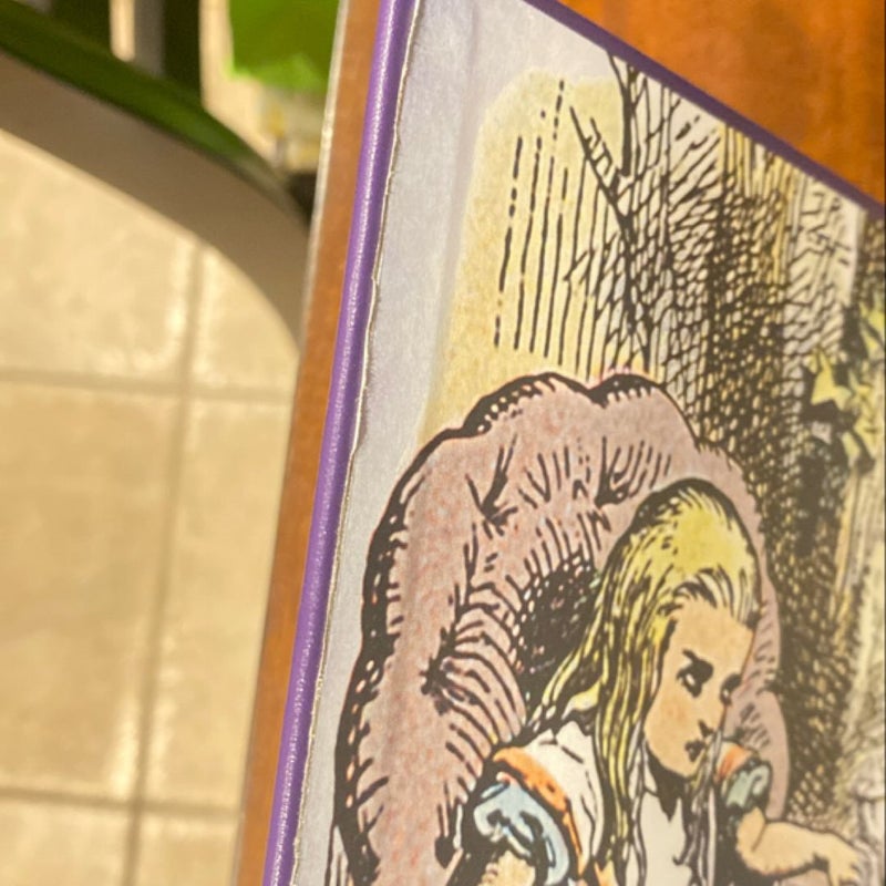 Alice's Adventures in Wonderland and Through the Looking Glass (Barnes and Noble Collectible Classics: Children's Edition) silver sprayed edges