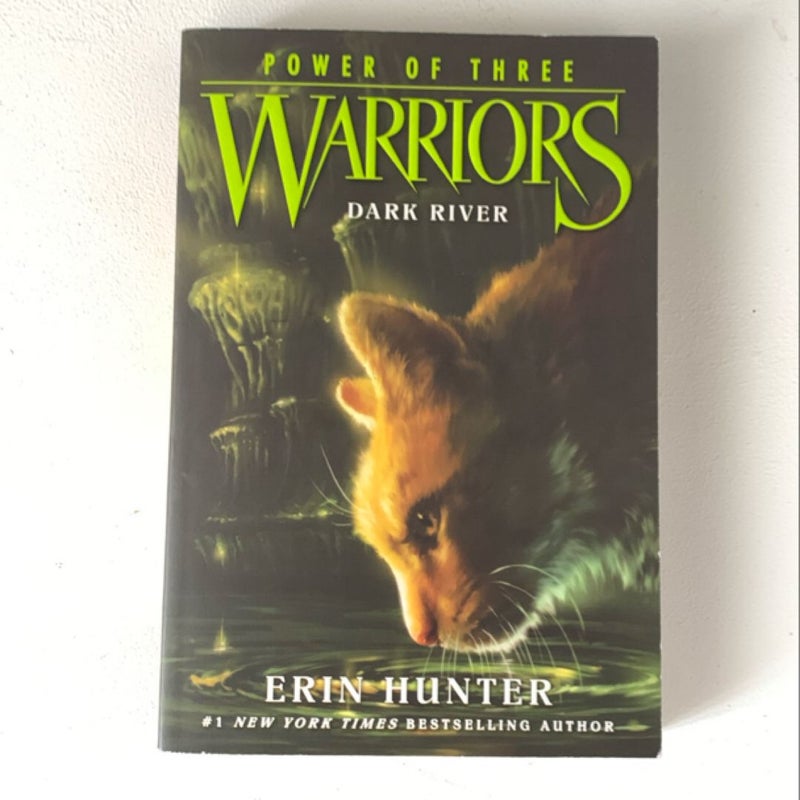 Warriors: Power of Three #2: Dark River